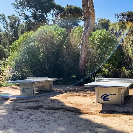 Apartment Piscine Et Acces