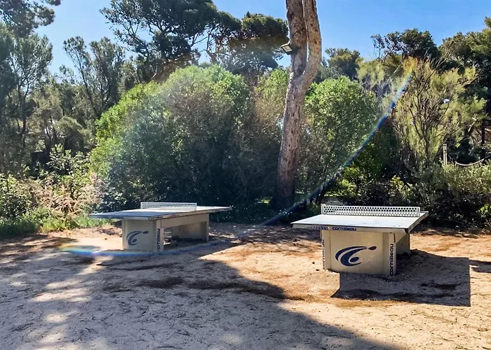 Apartment Piscine Et Acces