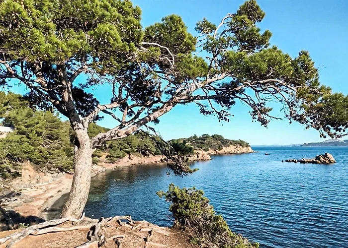 Piscine Et Acces Apartment *